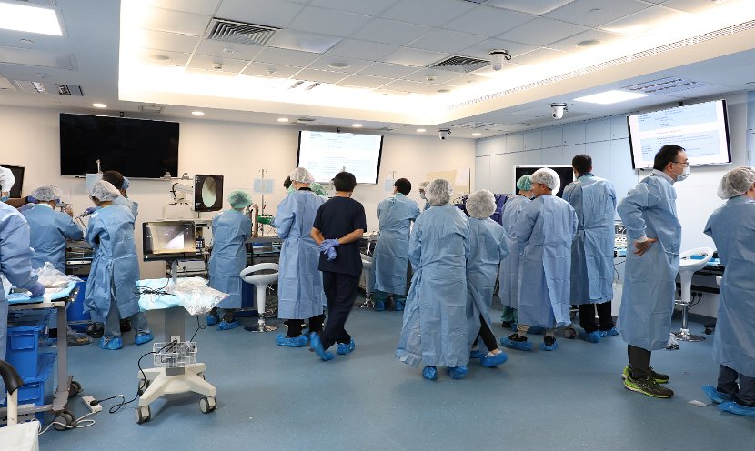 HK Wrist Course 2024 - Workshops  - 107 of 241